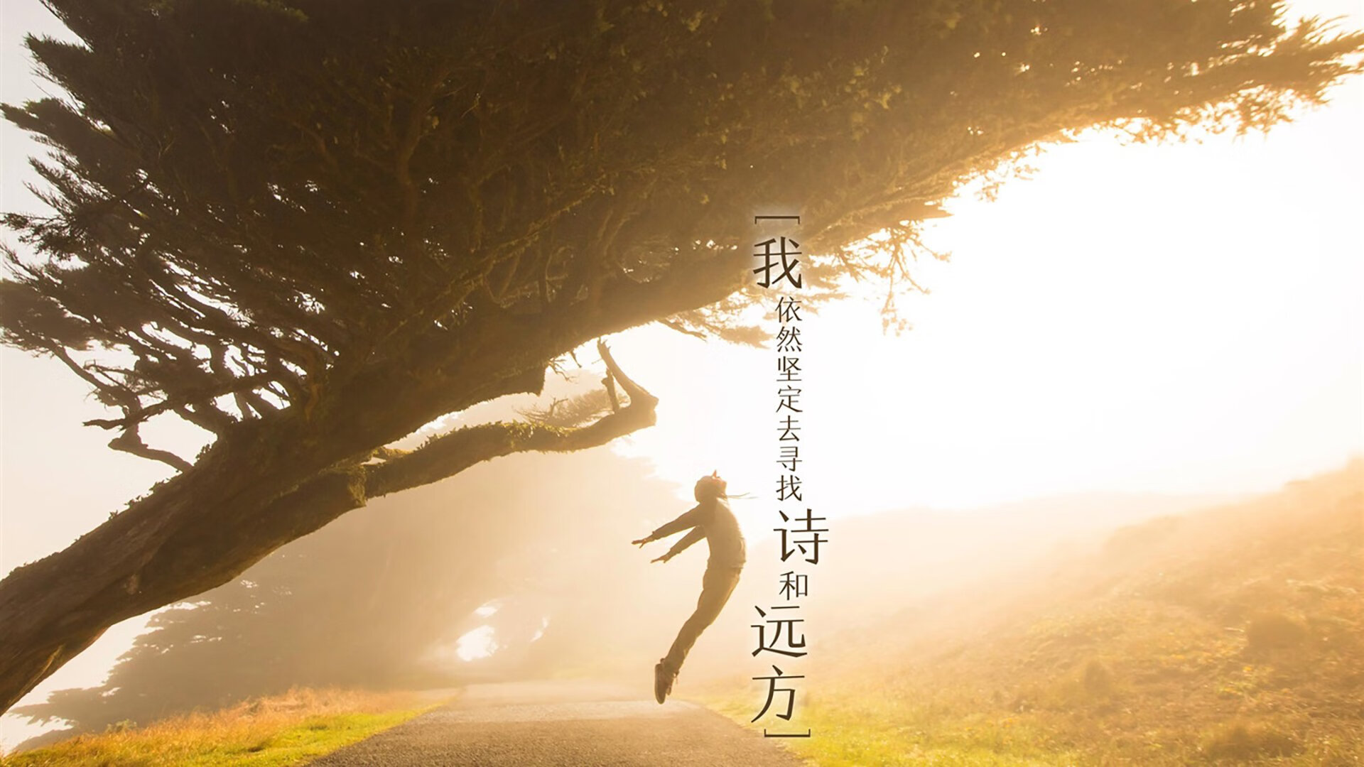 “青少年足球科技创新实验班在全国推广,激发创造力”,青少年足球学校