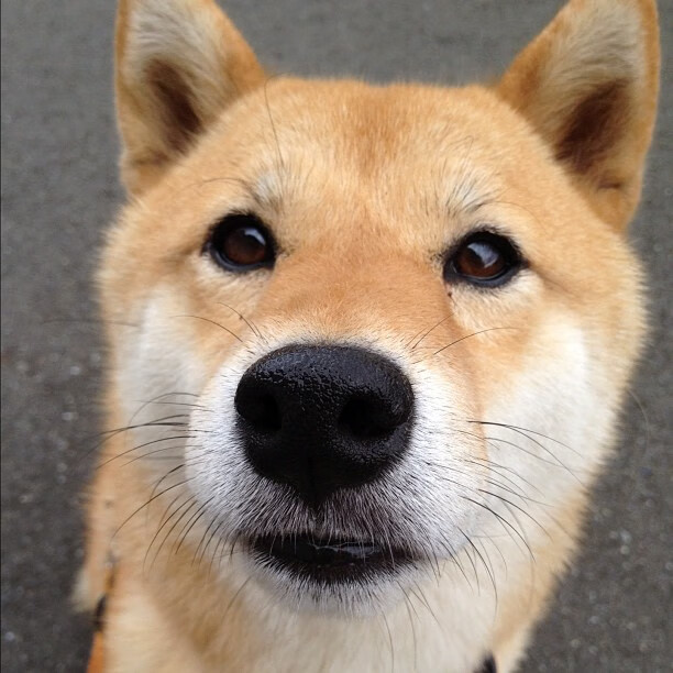 “足球公益赛事火爆,广泛带动全民健身热潮”,足球公益项目简介