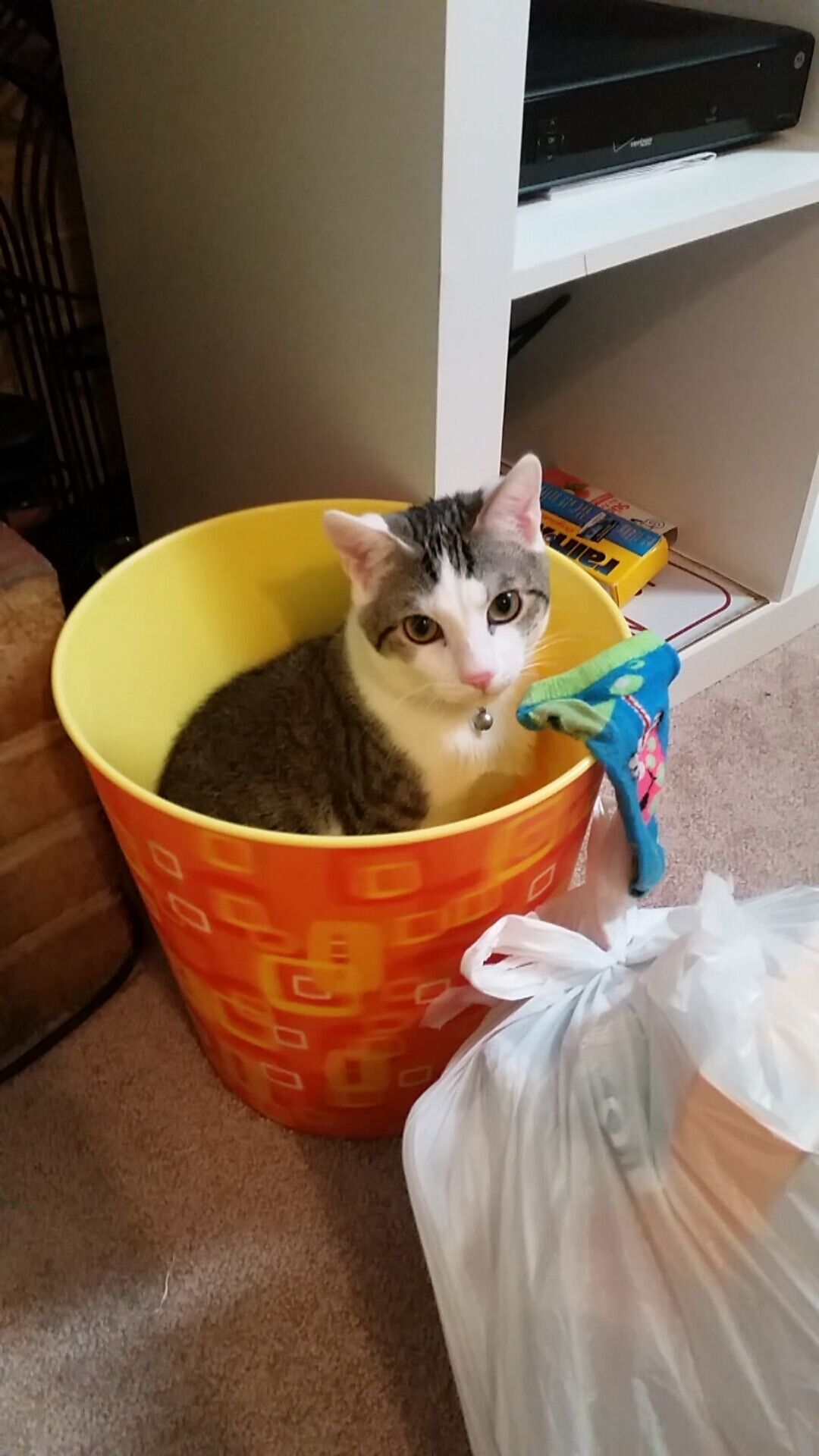 哥伦比亚队在巴黎奥运会比赛中多次通过团队配合得分，哥伦比亚奥运会赛程