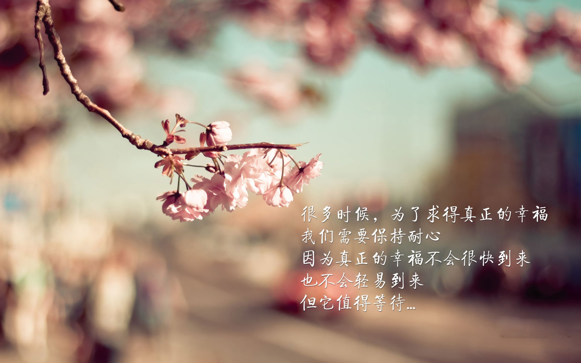 篮球运动员心理辅导体系日益完善，篮球心里素质训练