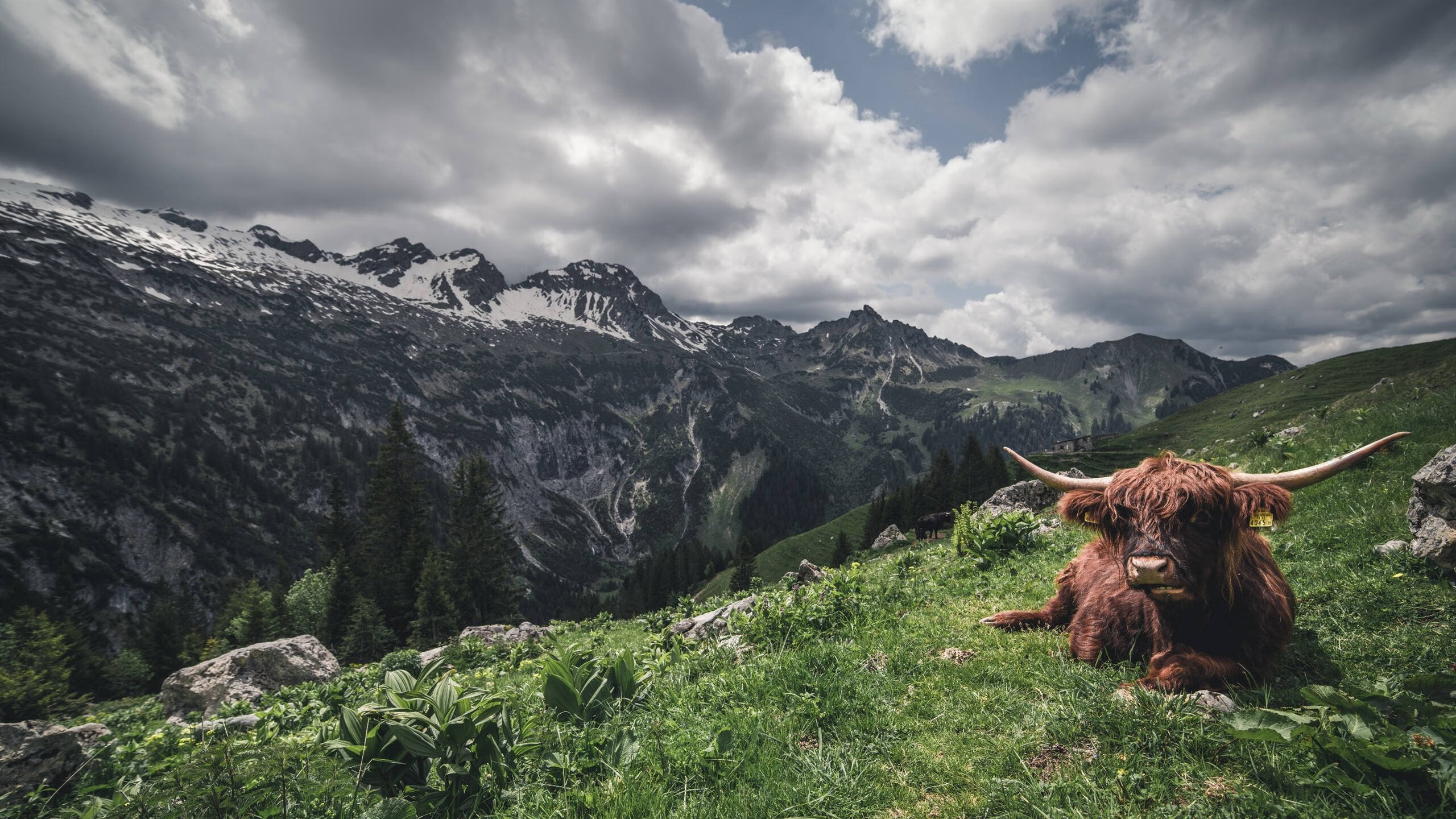 足球赛事场馆环境卫生标准全面升级,保障运动安全,足球场馆建设