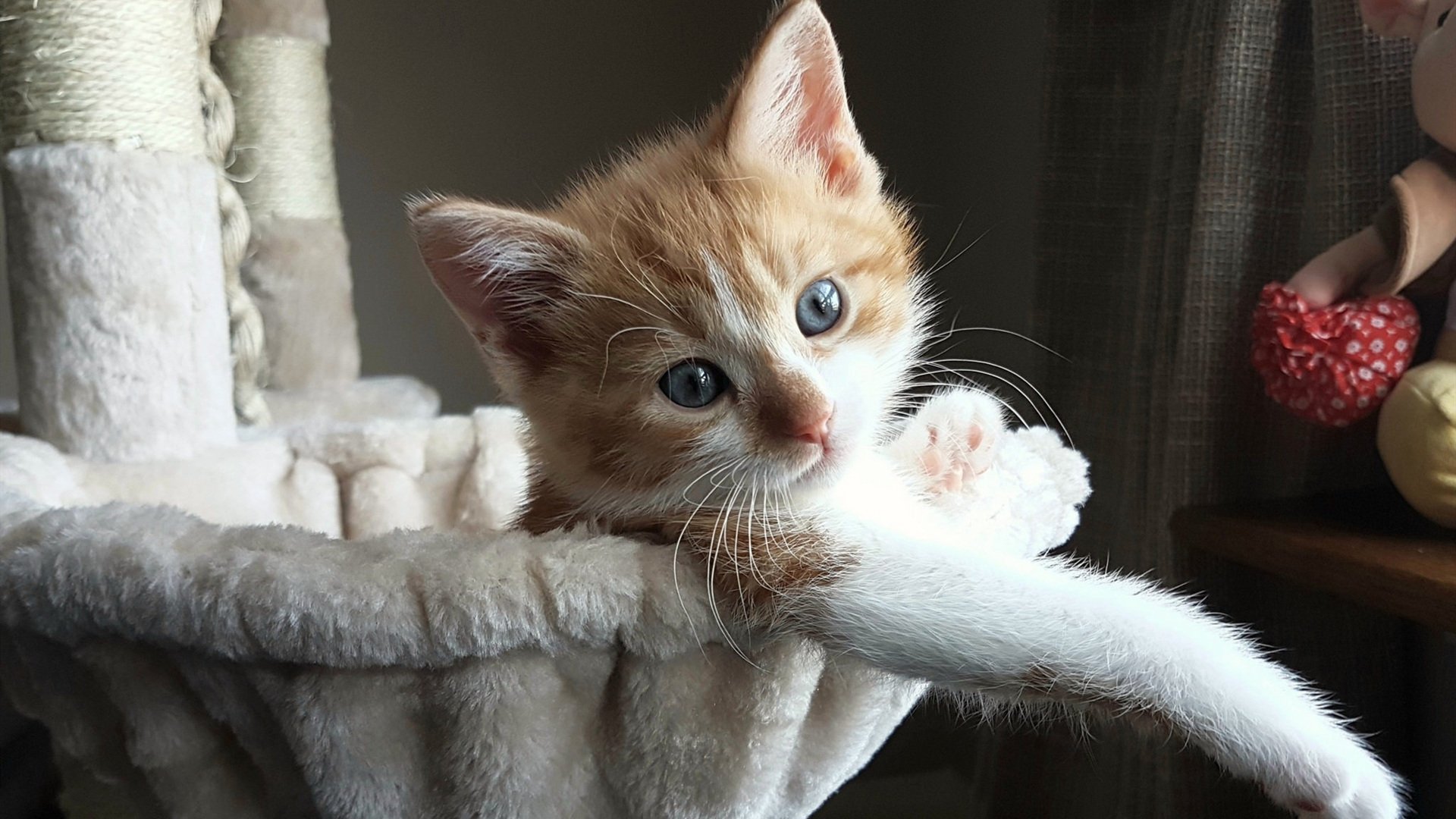 青训土壤不断丰富,培养出一批批未来的中国足球希望之星,中国男足希望之星