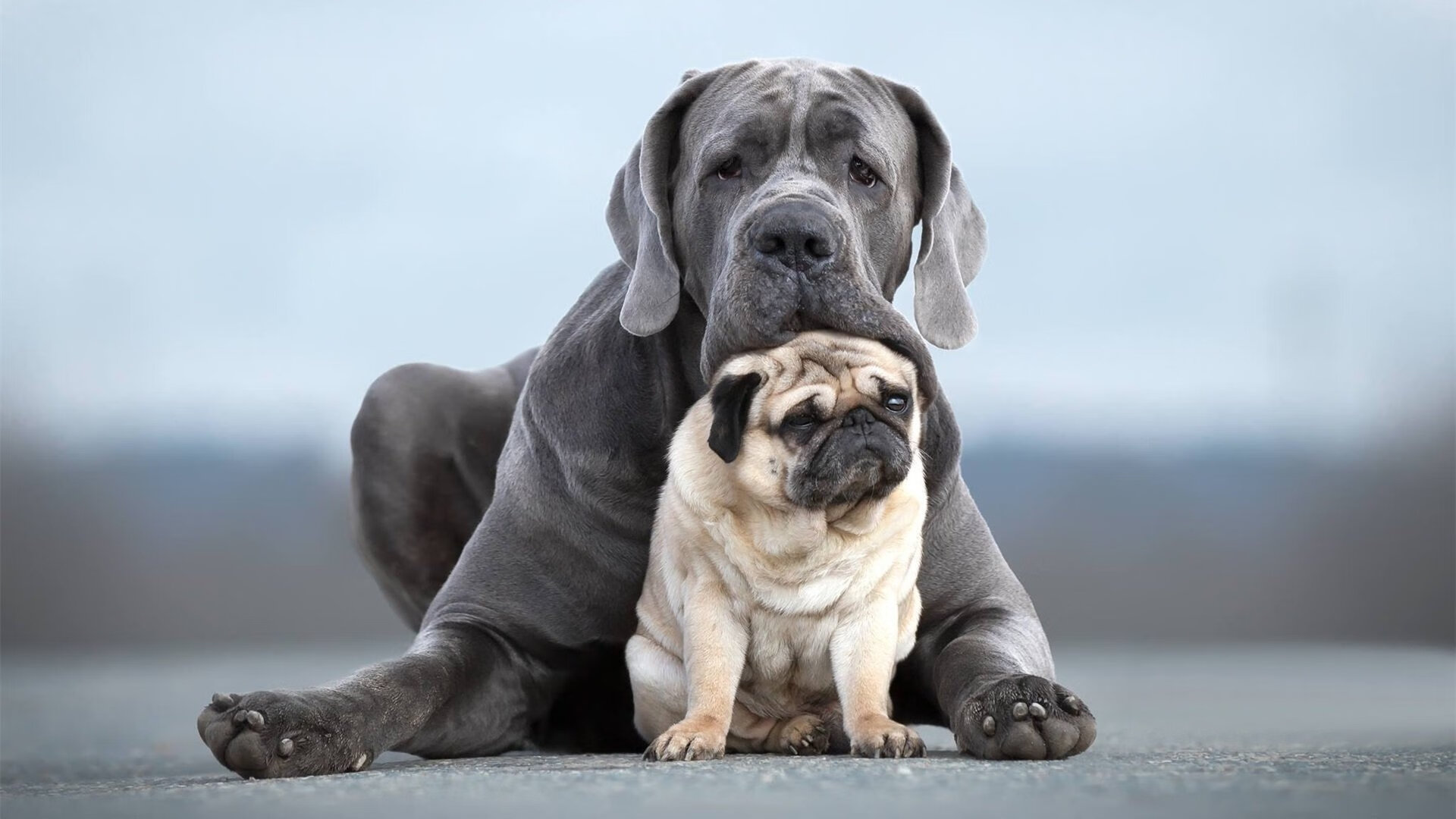 开云体育-中超联赛是否存在假球等不良现象，中超举办