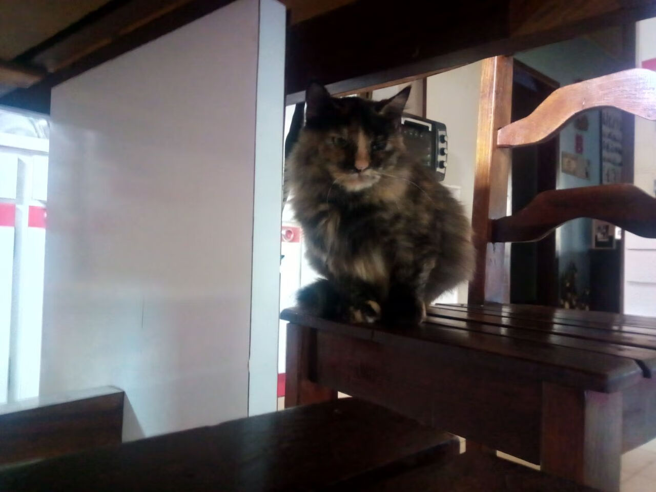 保利斯塔替补席深度提升，保利斯丹属于什么档次