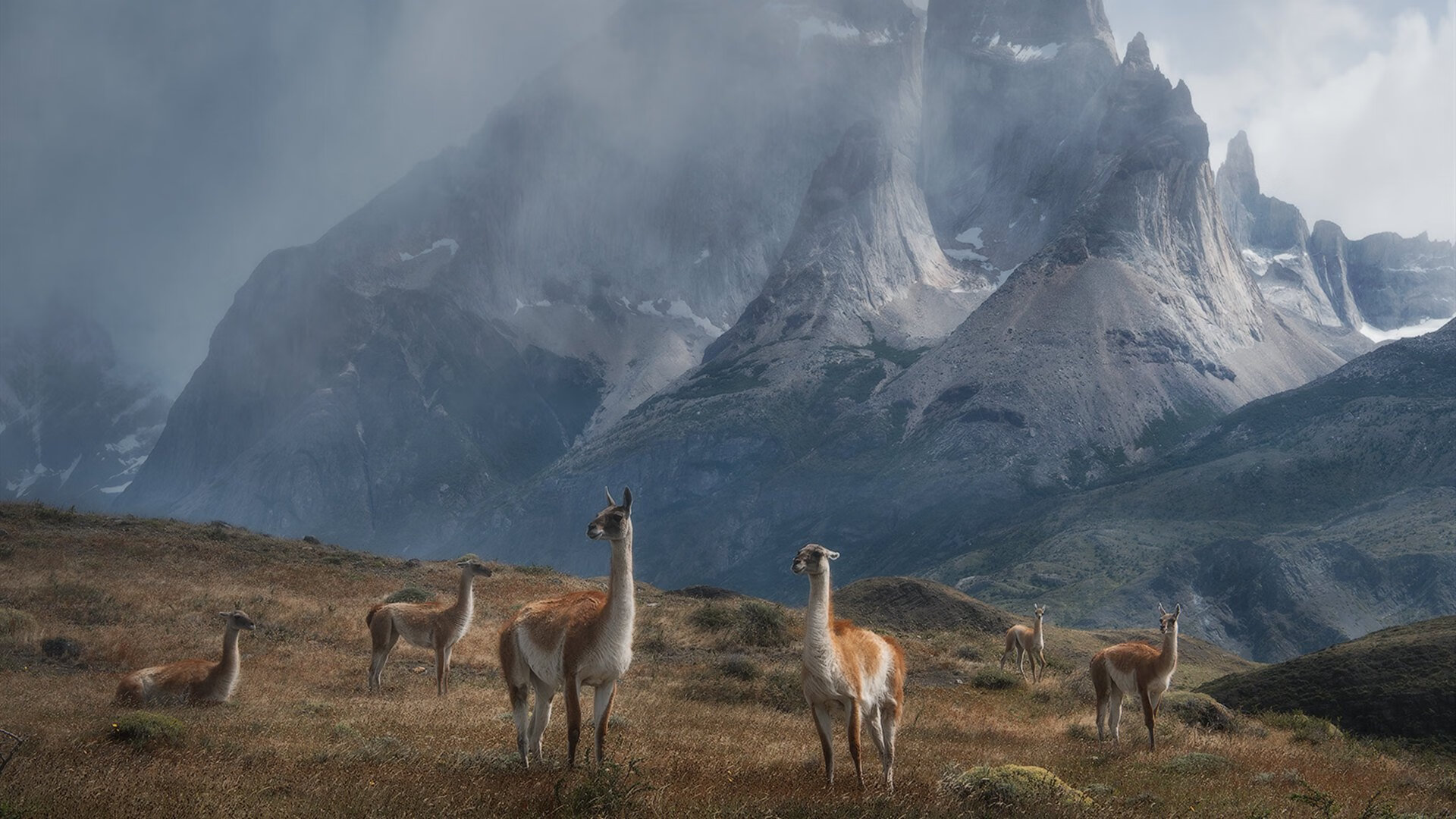 佩纳罗尔与国民队赛季表现对比，佩纳罗尔球衣