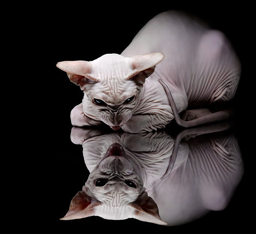 开云·体育官网-比尔低迷奇才不敌猛龙，比尔dub