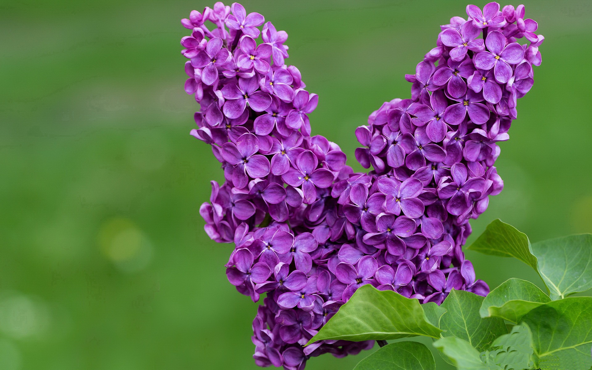 篮球专项体能训练的疲劳恢复策略，篮球体能训练30种方法及要求文库