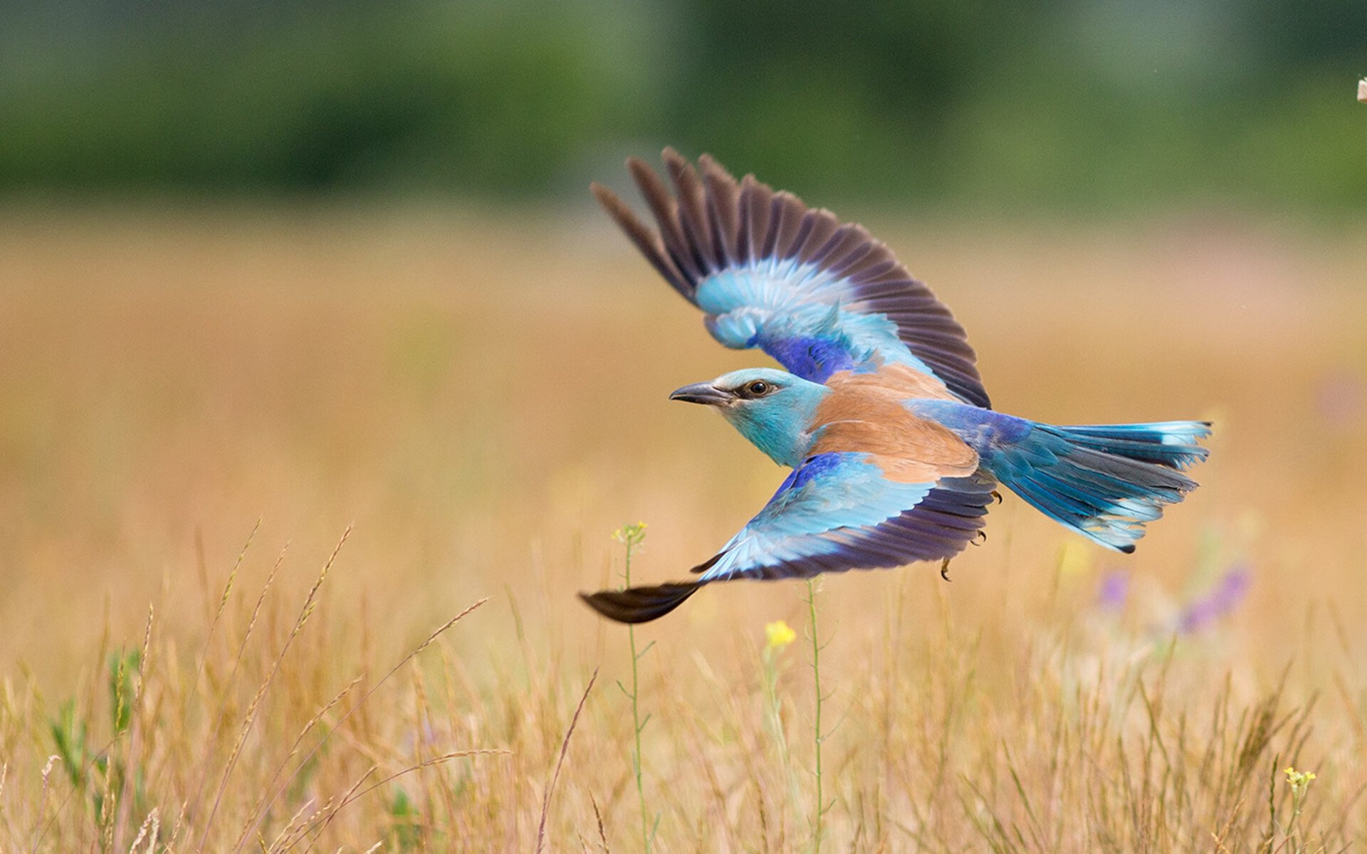 kaiyun体育综合-英雄联盟版本变更影响关键英雄表现，英雄联盟版本变动
