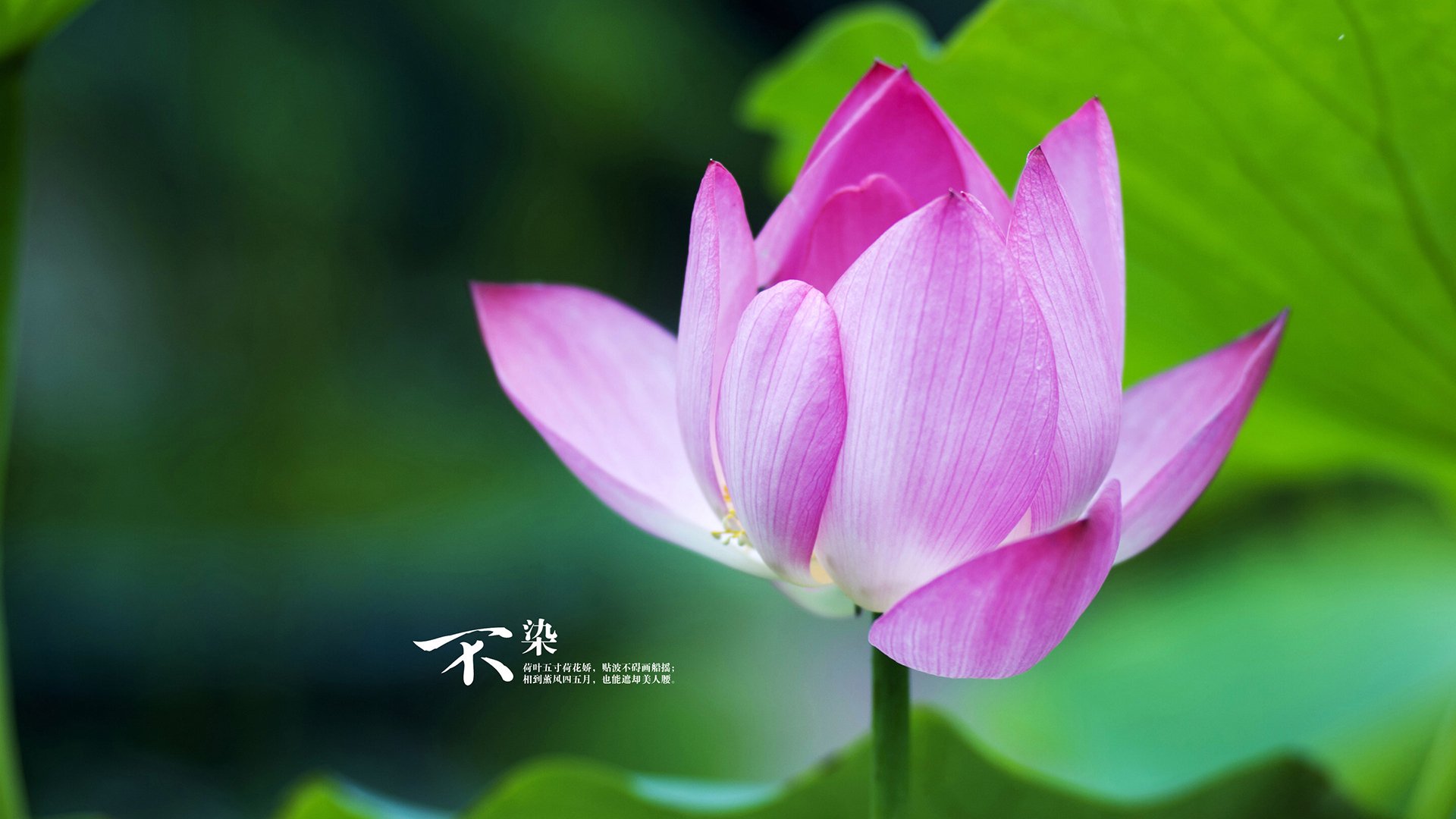 高校运动损伤案例数据库建设方案与应用前景，运动损伤课题