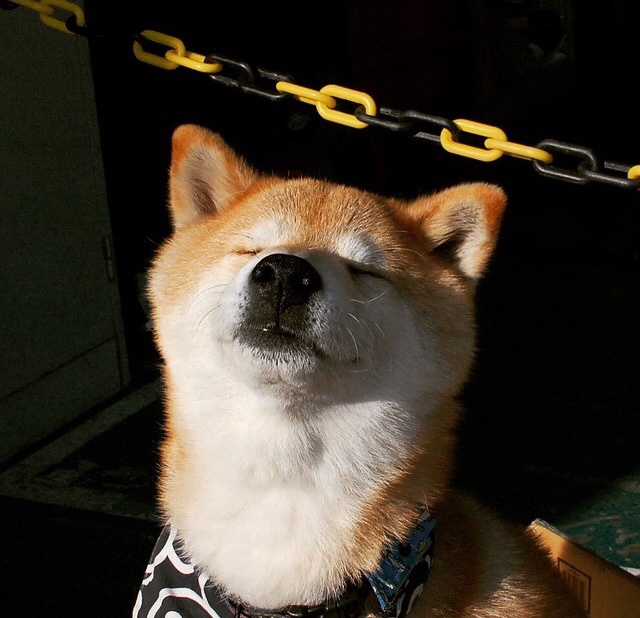 kaiyun中国官方网站-中国女篮多点开花 攻防均衡发展，中国女篮的情况