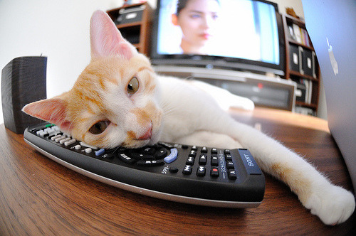 开云·体育官网APP下载-乔·莫伊：作为全黑队前锋核心，他在比赛中的表现堪称一流，乔乔莫伊斯作品