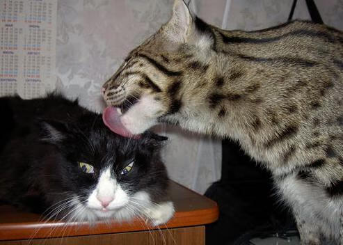 kaiyun登录入口-新闻中心发布体育场馆票务优惠政策及使用说明，体育场馆免费开放方案