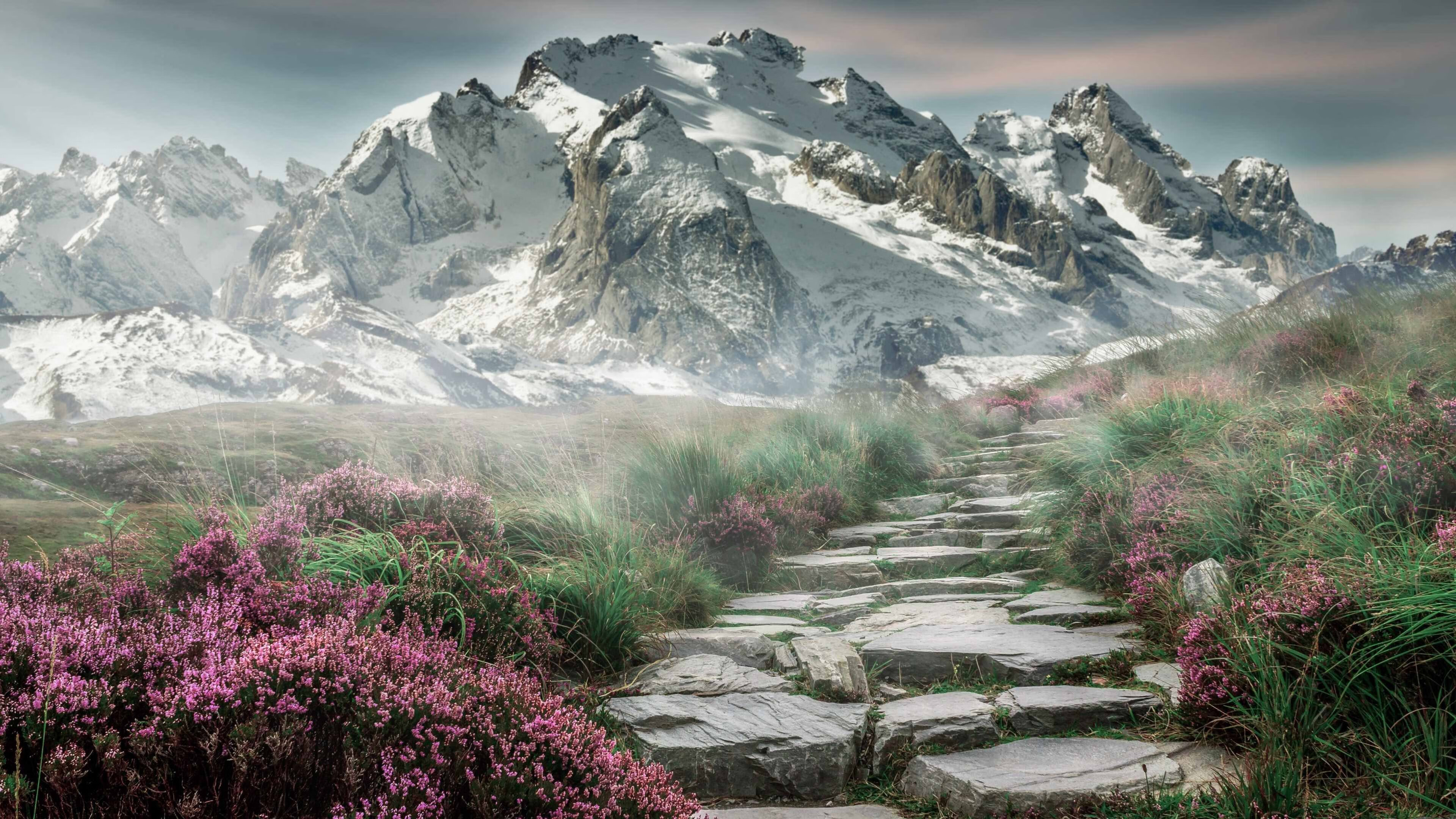 美洲杯激烈冲刺：奋勇拼搏，创造奇迹，美洲 杯