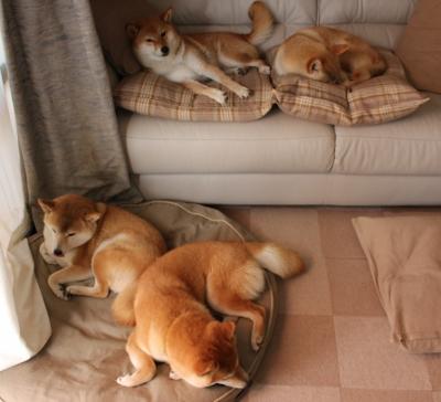 Kaiyun APP-职业联赛注重提升裁判执法水平保障比赛公平公正，裁判执法能力