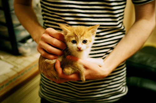 开云kaiyun-覃海洋蛙泳技术细腻控全场，覃海洋简介