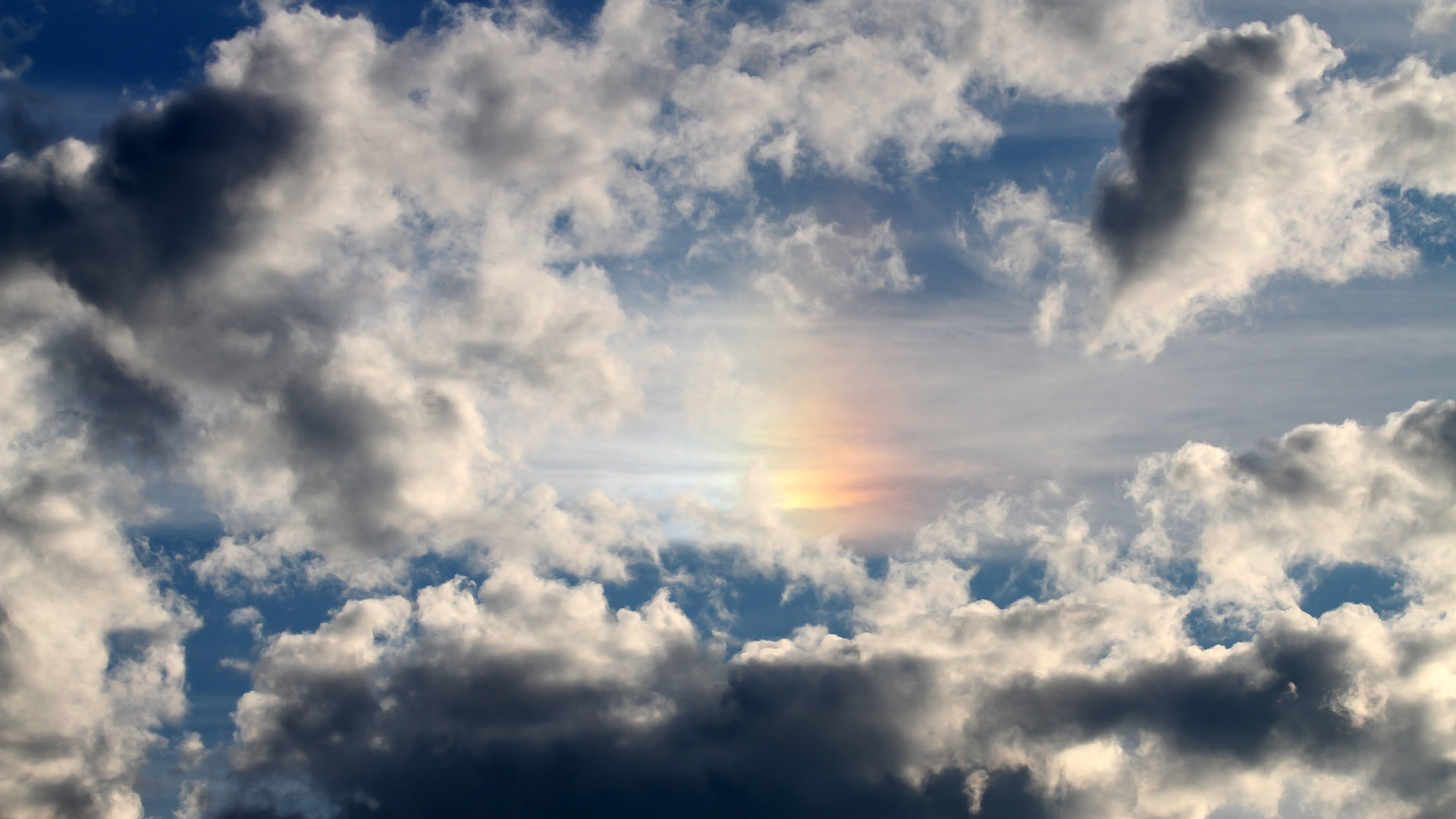 麦克沃伊触壁瞬间领先半身优势，麦克沃伊女友